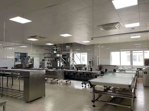 金山工業區證件齊全食品廠轉讓 甜味劑加工廠的高效運營樣本