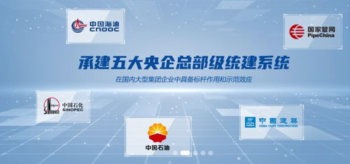 普聯軟件300996在中國,國資委 證監會 銀保監會 上交所 深交所等監管機構要